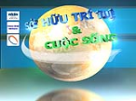 Thông báo thay đổi lịch phát sóng Chương trình “Sở hữu trí tuệ & Cuộc sống”