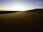 The ghostly beauty of “the oldest desert” in the world