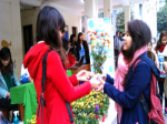“Green Exchange 2014” - Students took part in environmental protection 