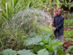 Promotion of sustainable activities in water and energy field