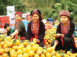 Tuyen Quang: 4 products have been recognized brands