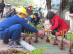 Ha Noi: Installing 38 cluster of aquatic rafts to improve To Lich river’s water quality