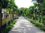 Environmental protection in the construction of new countryside