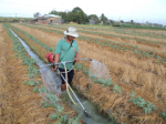An irrigation machine is made from lawn mowers