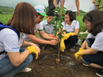 "Panasonic for a green Vietnam" went to Hoa Binh, Quang Nam and Quang Ngai province
