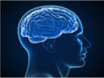New blood test can detect toxic protein in Alzheimer