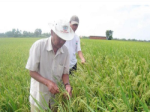 Science and technology respond to climate change
