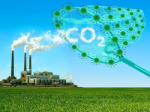 Localities join hands to implement the commitment to net zero emissions