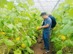 Nghe An farmers focus on applying high technology in agricultural production and business